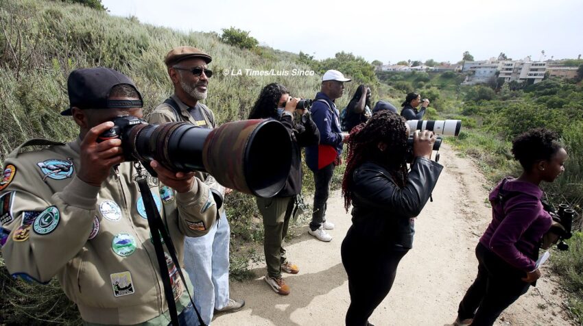 A group of birdwatchers taking photos of birds